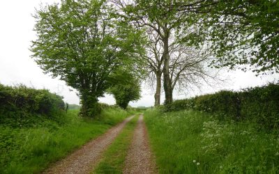 Nedonchel – Mai 2023
