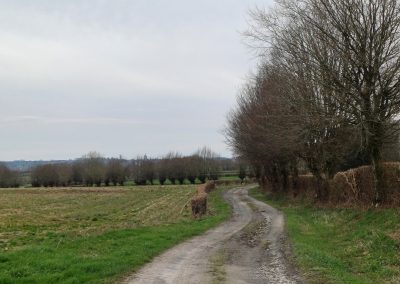 Fellerie