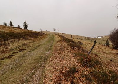 Au sommet des Vosges