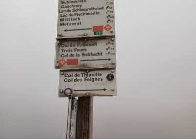 Au sommet des Vosges