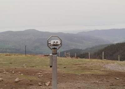 Au sommet des Vosges