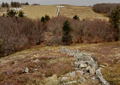 Au sommet des Vosges