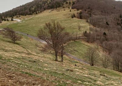 Au sommet des Vosges