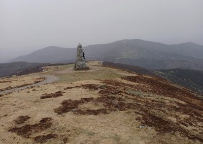 Au sommet des Vosges