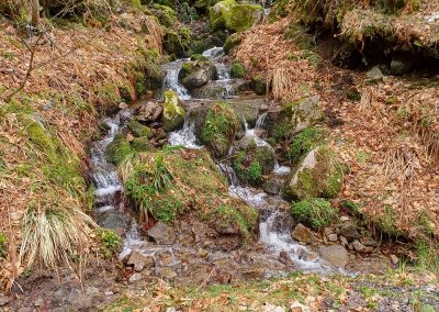 Au sommet des Vosges