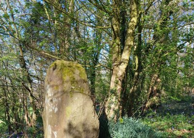 Monts des Flandres