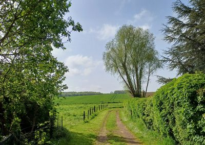 Avesnes-le-Comte