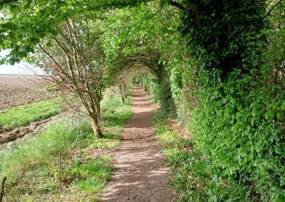 Avesnes-le-Comte