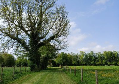 Avesnes-le-Comte