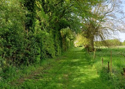 Avesnes-le-Comte