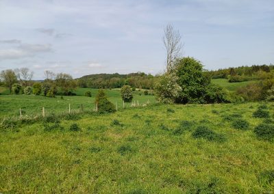 Avesnes-le-Comte