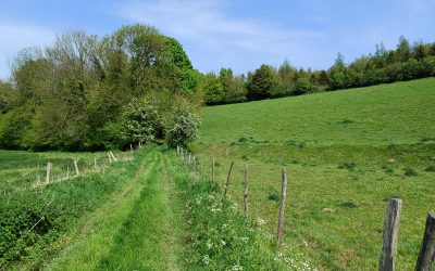 Avesnes-le-Comte – Mai 2024
