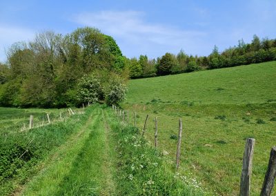 Avesnes-le-Comte