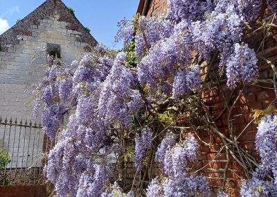 Avesnes-le-Comte