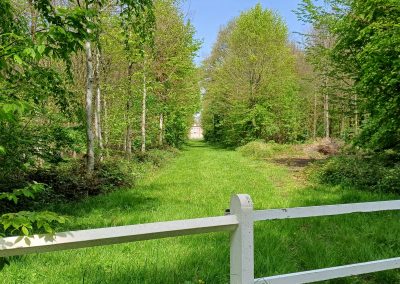 Avesnes-le-Comte