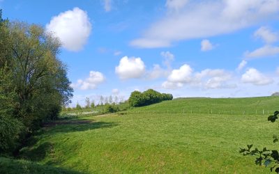 Au départ de Bailleulmont – Mai 2024