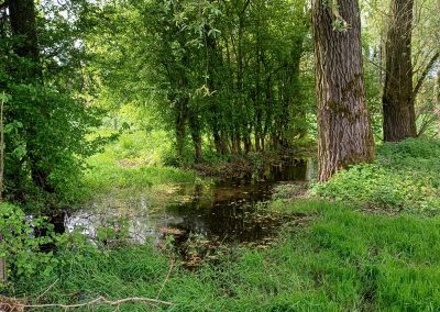 Au départ de Bailleulmont