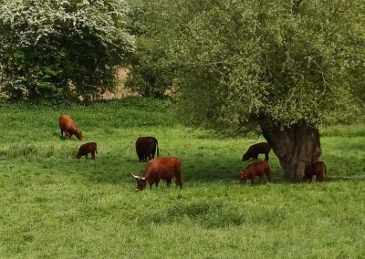 Au départ de Bailleulmont