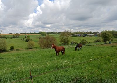Au départ de Bailleulmont