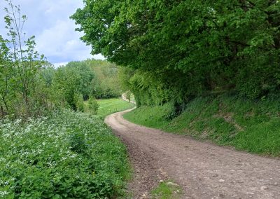 Au départ de Bailleulmont