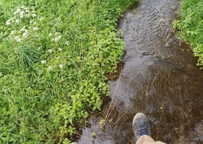 Au départ de Bailleulmont