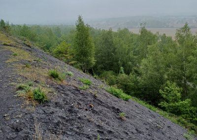 Terril de Pinchovalles