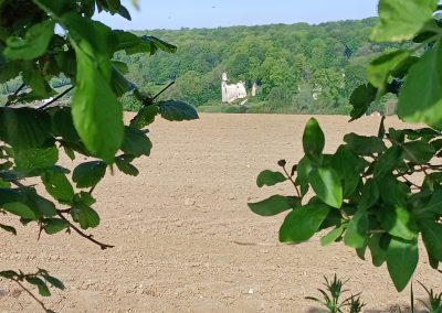 Entre Hesdin et Fruges