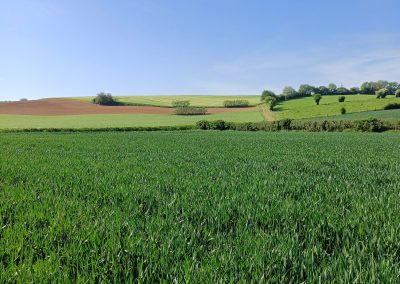 Entre Hesdin et Fruges