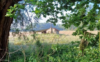 Autour de Cysoing – Mai 2024