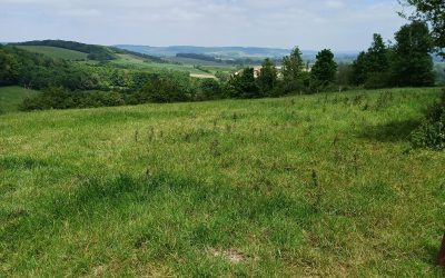 Sentier des Milles Monts – Juin 2024