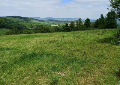 Sentier des Mille Monts