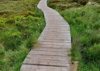 Le gazon du Faing dans les Vosges