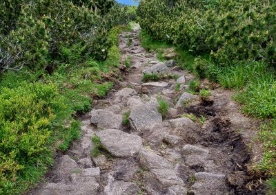 Le gazon du Faing dans les Vosges