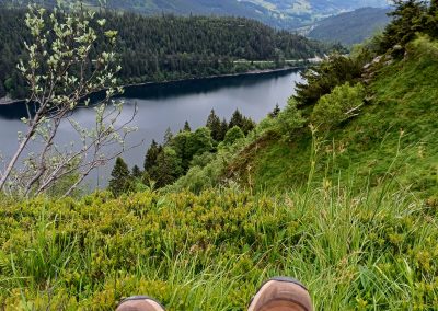Le gazon du Faing dans les Vosges