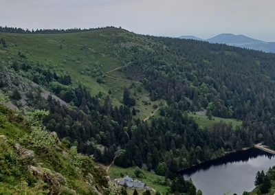 Le gazon du Faing dans les Vosges