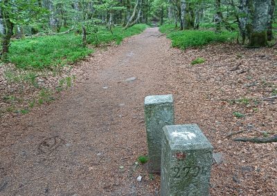 Le gazon du Faing dans les Vosges