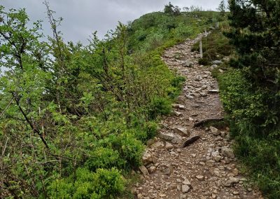 Le gazon du Faing dans les Vosges