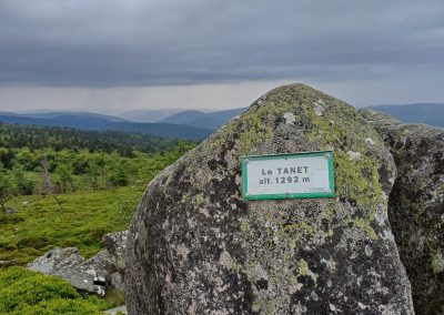 Le gazon du Faing dans les Vosges