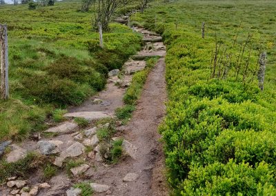 Le gazon du Faing dans les Vosges