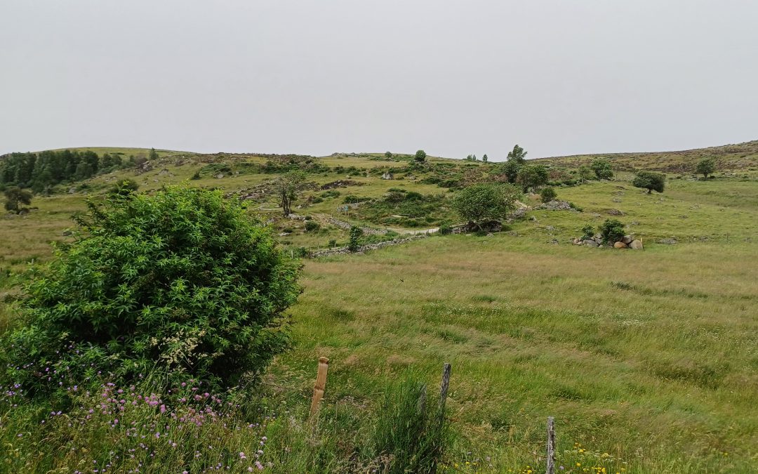J4 et J5 : l&rsquo;approche de l&rsquo;Aubrac !