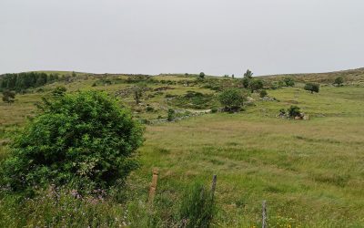 J4 et J5 : l’approche de l’Aubrac !