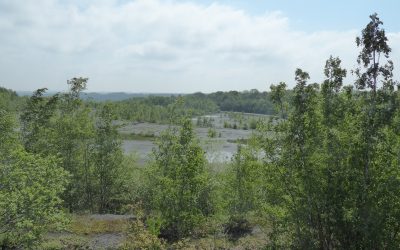 Lapugnoy – Mai 2023