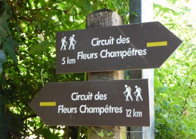 Salesches