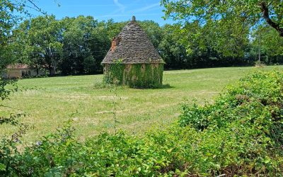 J11 et J12 : Livinhac – Figeac – Cajarc