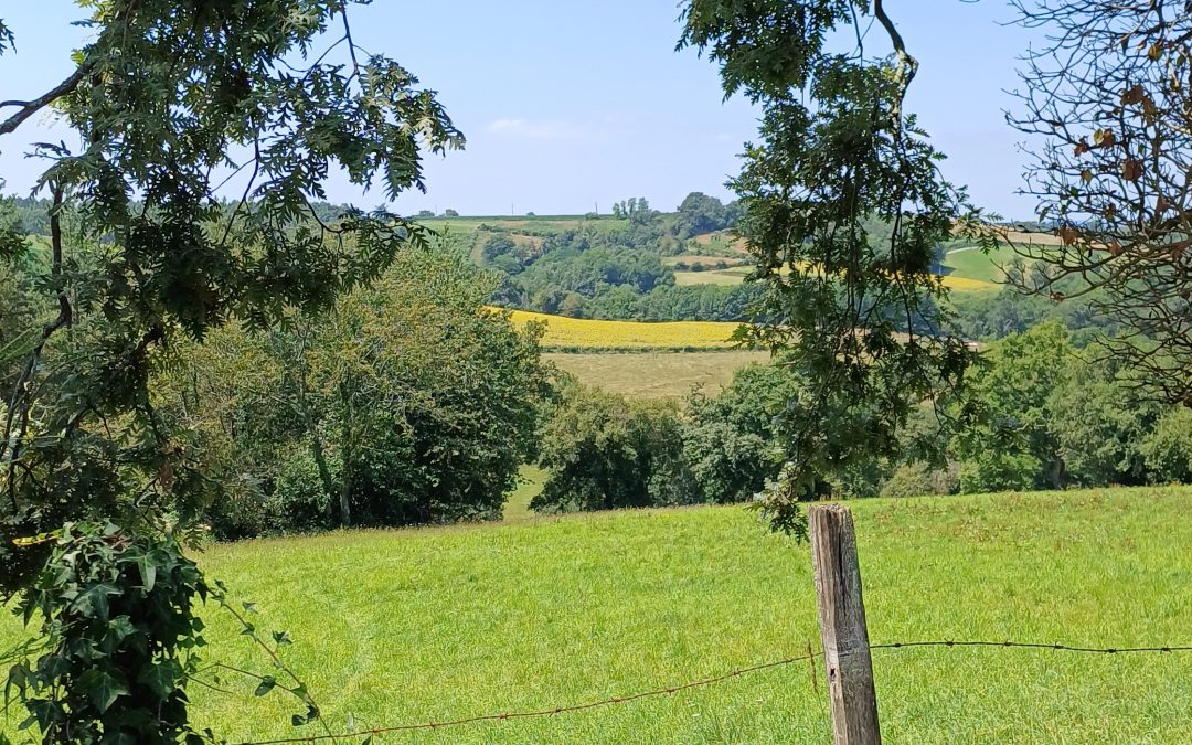 J24 et J25 : de la Gascogne vers le Béarn