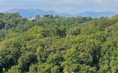 J26, J27, J28 : sortie du Béarn et entrée au Pays Basque