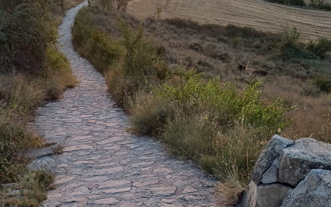 J37 : Torres del Rio – Logroño