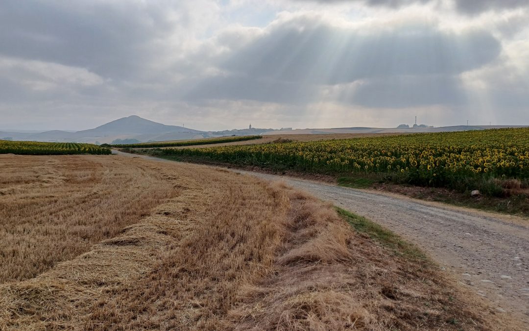 J40 : Santo Domingo de la Calzata – Belorado