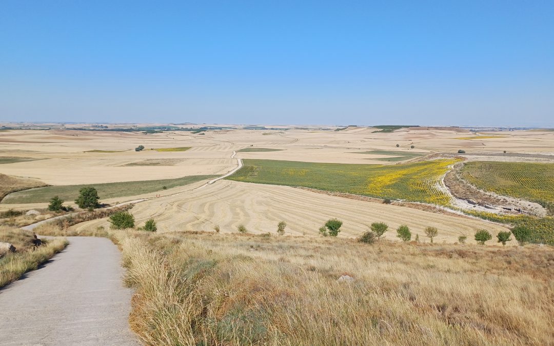 J44 et J45 : Hontanas – Boadilla del Camino – Carrion de los Condes