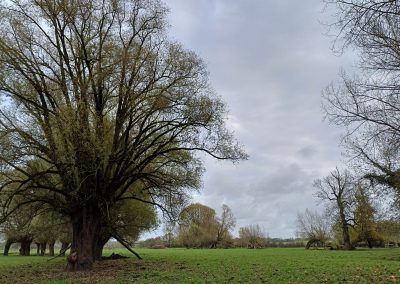 En campagne de Bouvines